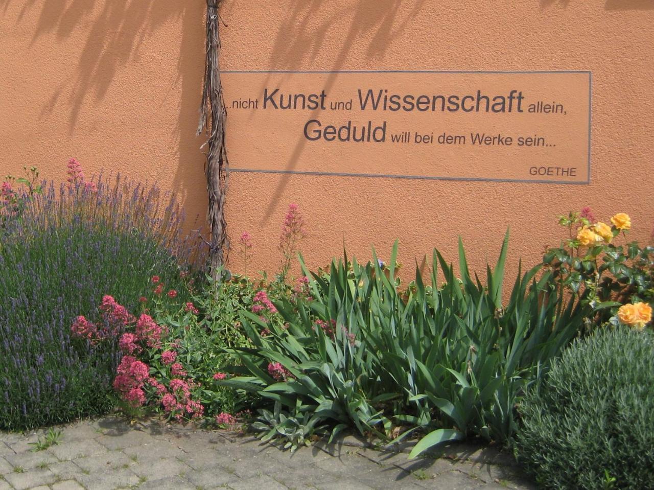Weinhof Am Nussbaum Hotel Willanzheim Ngoại thất bức ảnh